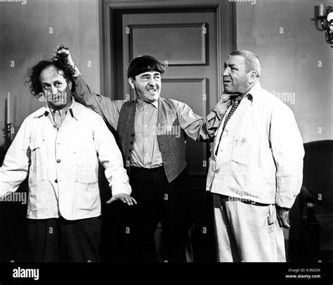 THE THREE STOOGES LARRY FINE, MOE HOWARD, CURLY HOWARD American ...