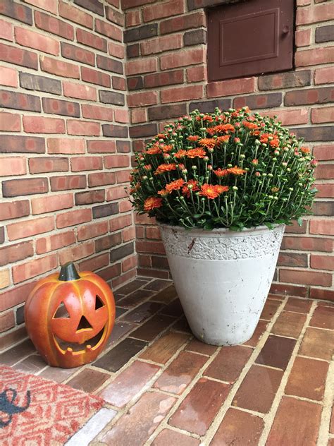 Pin by Mandy Hardwick on Brock Southern | Pumpkin carving, Carving, Pumpkin