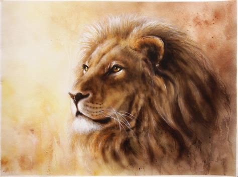 Lion Head With A Majesticaly Peaceful Expression Profile Portrai ...