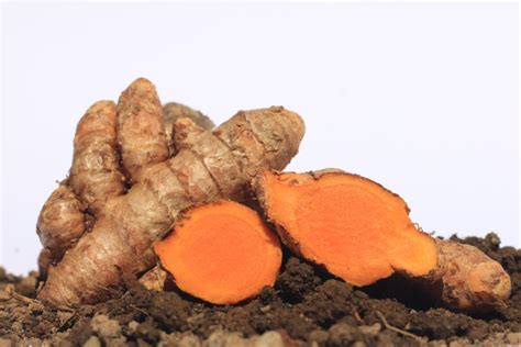 The Amazing Benefits of Turmeric: From Spice to Traditional Herbal ...