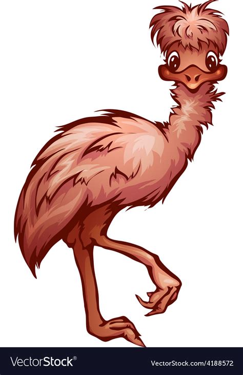 Cartoon cute emu Royalty Free Vector Image - VectorStock