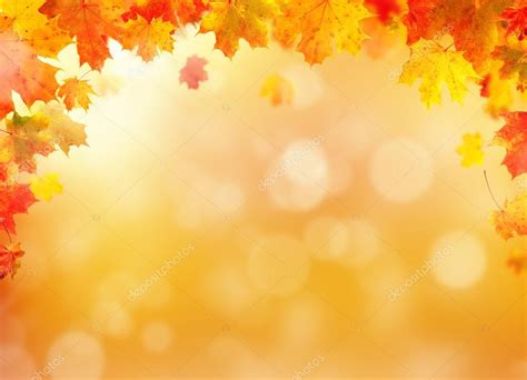 Autumn leaves background with free space for text — Stock Photo © jag ...