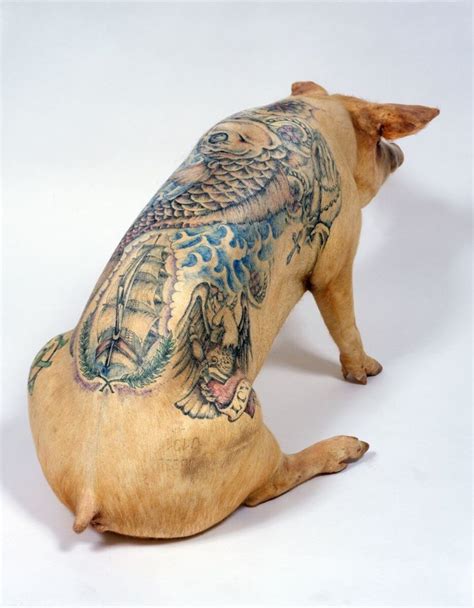 Wim Delvoye is tattooing pigs. Is this cruel? | Traditional japanese ...