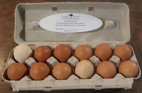 Free Range Chicken Eggs – Bearbrook Free Range and Grass Fed Meats ...