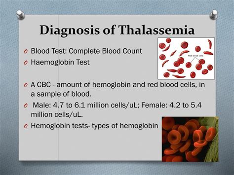 PPT - THALASSEMIA PowerPoint Presentation, free download - ID:2109380