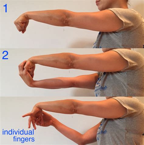 Wrist Flexion And Extension Exercises