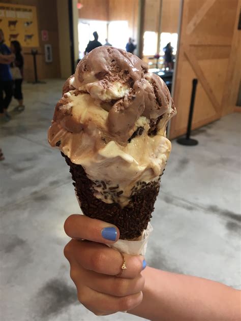 Tillamook Cheese Factory ice cream 🍦 | Tillamook cheese, Tillamook ...