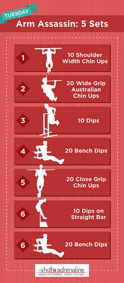 Calisthenics Exercises Pdf