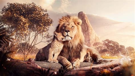 HD wallpaper: lion, cute, baby, lion king, father | Wallpaper Flare