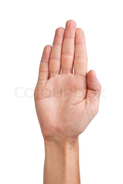 Male palm hand gesture, isolated on ... | Stock Photo | Colourbox