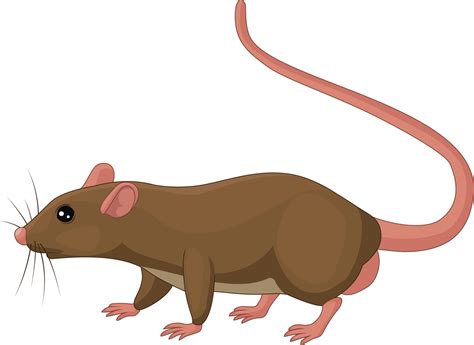 Cartoon rat on white background 5161788 Vector Art at Vecteezy