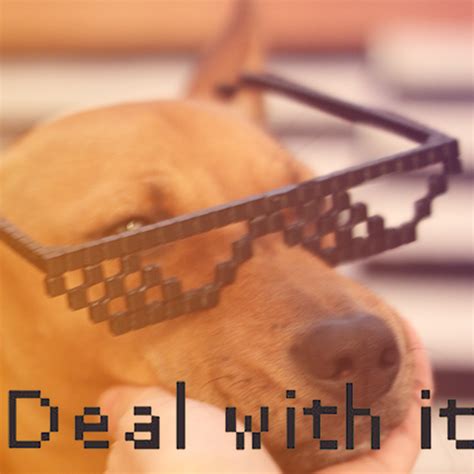 Cool 3D Printed 'Deal with It' Shades