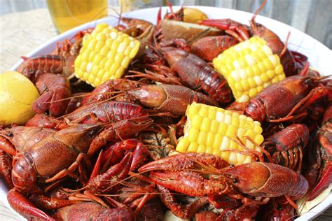 Crawfish Recipes Cajun Boil | Dandk Organizer