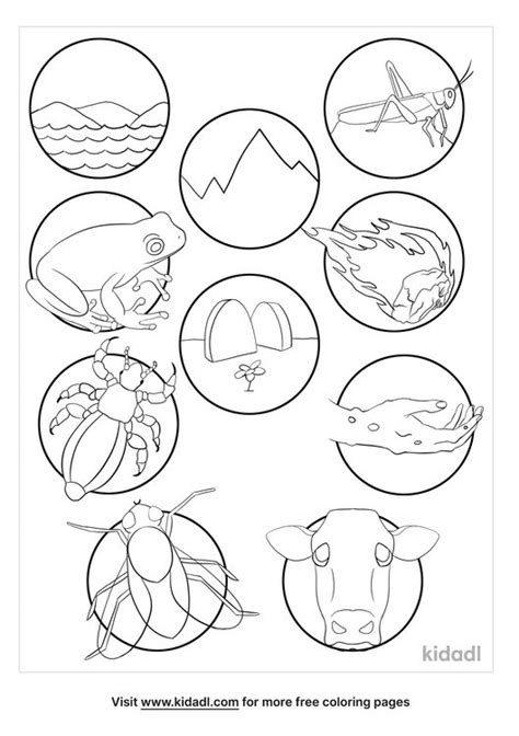 10 Plagues Of Egypt Coloring Pages | Free Torah Coloring Pages | Kidadl ...