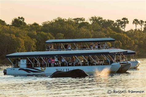 Sundowner Cruise on Zambezi River (Zimbabwe) 2024 - Victoria Falls