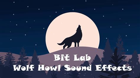 Animal Sounds: Wolf Howling Sound Effects with Variation and Animation ...