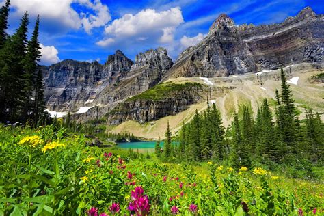 Spring Serenity: HD Wallpaper of Cliffside Lake and Wildflowers