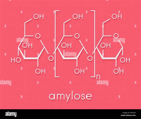 Amylopectin Structure