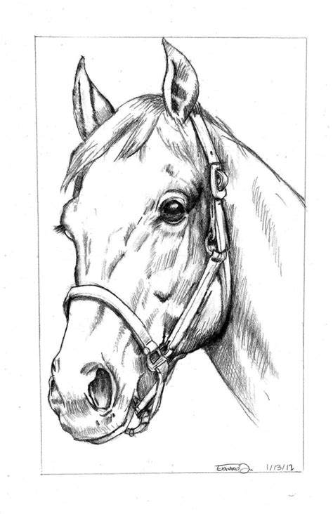 How To Draw A Horse: Tutorials That Beginners Should Check Out