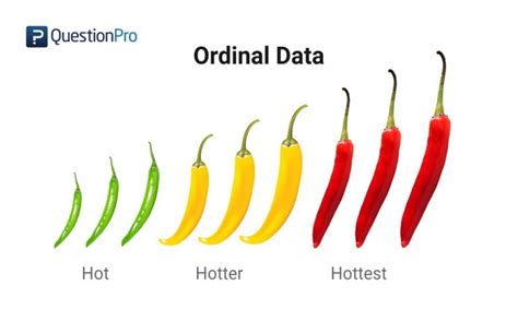 Ordinal Data: Definition, Analysis and Examples | QuestionPro