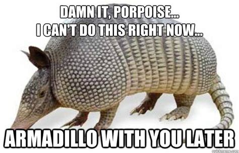 armadillo memes | quickmeme