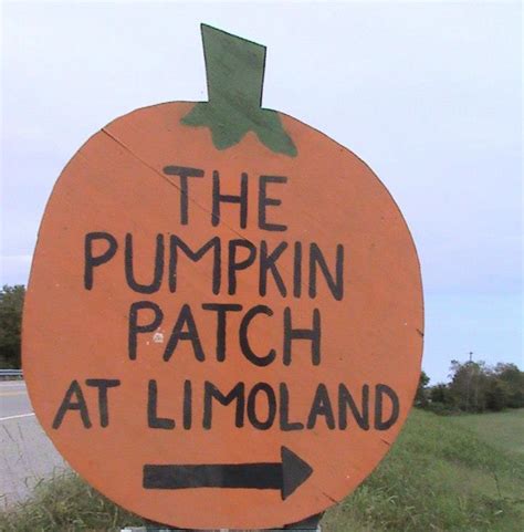 The Pumpkin Patch - Limoland Farm