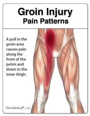 Groin Strain Information