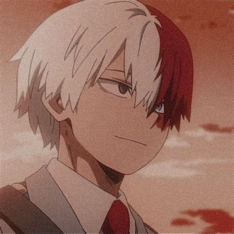 Shoto Todoroki smile ☽ profile picture