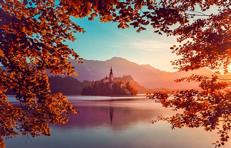 Autumn lake Bled, island, fall, beautiful, tree, mountain, lake, leaves ...