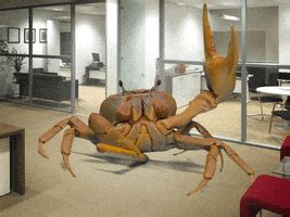 Crab Dance GIFs - Find & Share on GIPHY