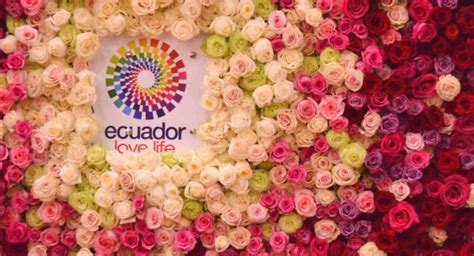 FLORES DEL ECUADOR