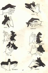 How to make Hand Shadows