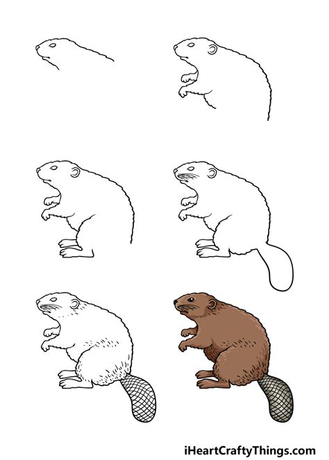 How To Draw A Beaver Really Easy Drawing Tutorial Cute Easy Drawings ...