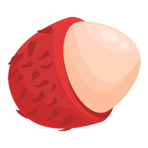 Asian rambutan icon cartoon vector. Tropical nutrition 14342378 Vector ...