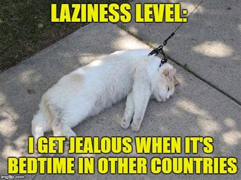 24 Lazy Memes to Make Your Day So Much Better - SayingImages.com