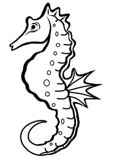 Seahorse Coloring Pages - Free Printable Coloring Pages for Kids