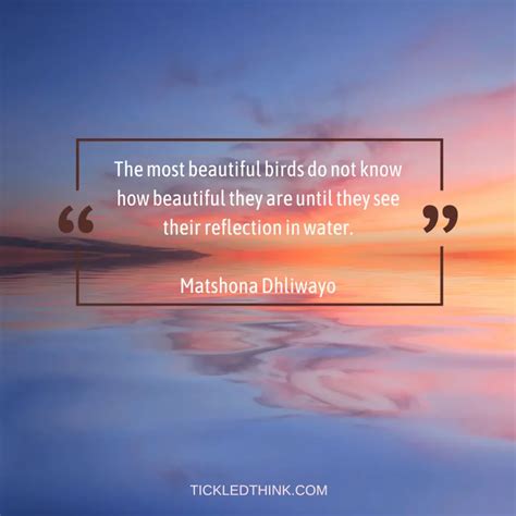 70+ Best Water Reflection Quotes To Give You Wisdom - Tickled Think