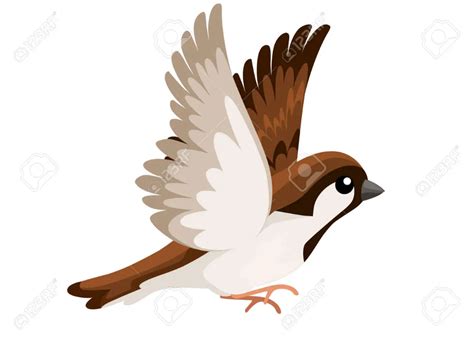 Side view of flying Sparrow bird. Flat cartoon character design ...