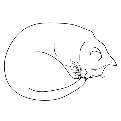 Sleeping cat line art | Line art vector, Line art, Vector drawing