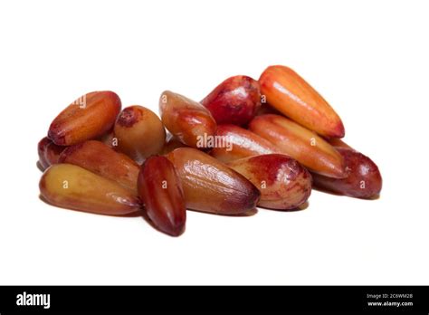 Portion of cooked and peeled pinion fruit with white background Stock ...