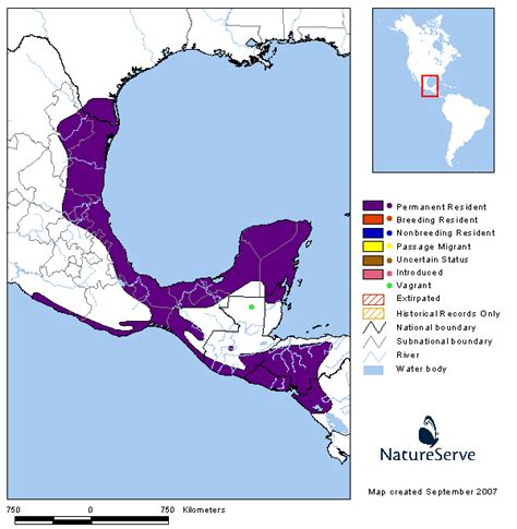 Americas Range Map - Altamira Oriole | BirdPhotos.com