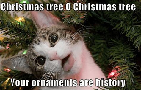 100 Funniest Merry Christmas Memes - SayingImages.com