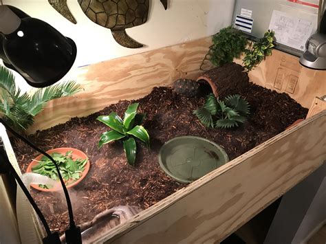 Proud of my new diy tortoise enclosure for my baby girl – Artofit