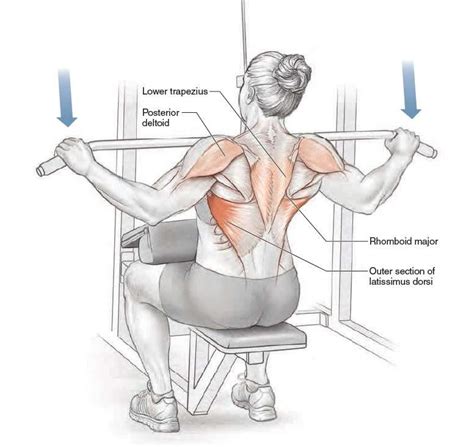 Wide Grip Lat Pulldown Exercise • Bodybuilding Wizard