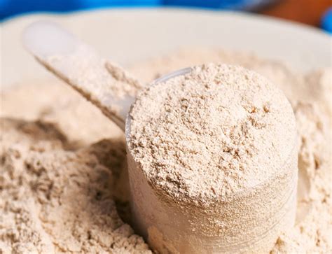 Bulk Organic Pea Protein Powder Wholesale Manufacturer Supplier | Pekhill