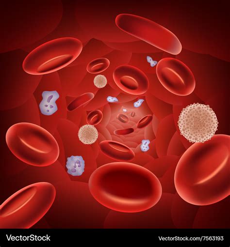 Cartoon of red blood cells Royalty Free Vector Image