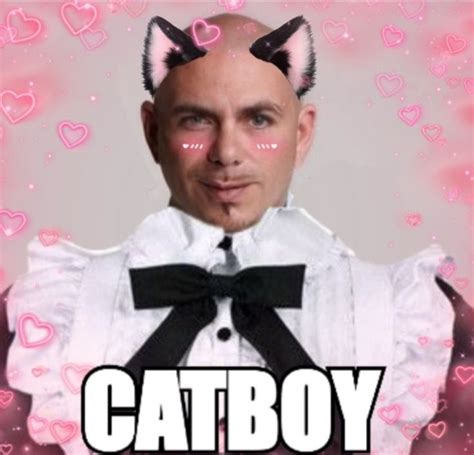 catboy pitbull 🤤 in 2021 | Catboy, Image memes, Haha funny