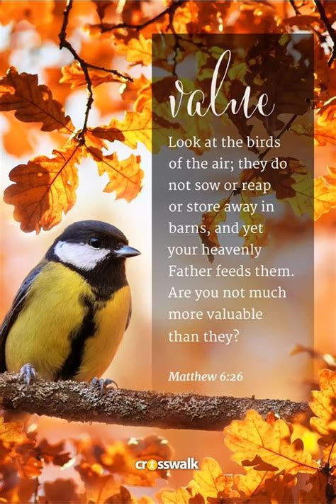 15 Beautiful Fall Bible Verses for the Autumn Season - Bible Study