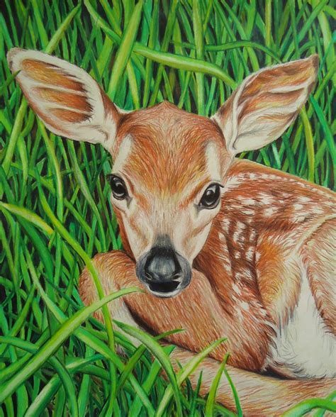 Original Baby Deer art Green Animal drawing Colored pencil | Etsy