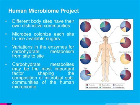 PPT - The Human Microbiome PowerPoint Presentation, free download - ID ...